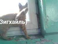 1603529924998.jpg