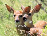 15776453234090.jpg