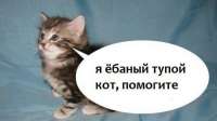 1604584596757.png