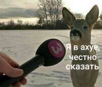1f783febf75a6e561019abd1616001ec.jpg