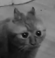 155111207400032.jpg