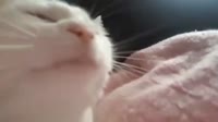 16032019797900.mp4