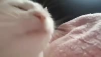 16032019797900.mp4