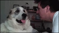 15920466090940.webm