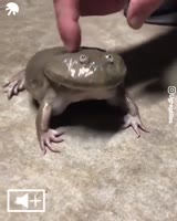 REEEEEEEEEEEEEE.mp4