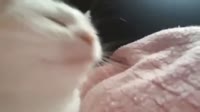 16032019797900.mp4