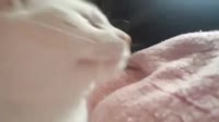 16032019797900.mp4