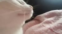 16032019797900.mp4