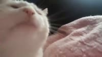 16032019797900.mp4
