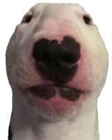 Walter.png