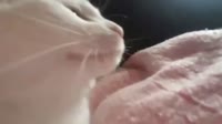 16032019797900.mp4