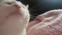 16032019797900.mp4