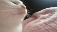 16032019797900.mp4