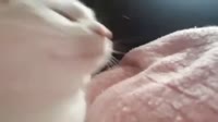 16032019797900.mp4