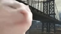 GTA IV Theme.mp4