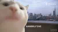 16038282981010.mp4