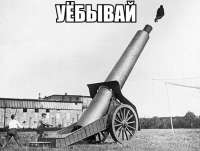 110573.jpeg