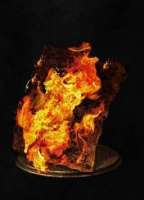 Great-combustion.jpg