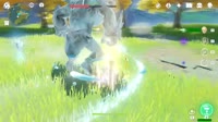 1605350263744.webm