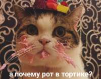 15910124137142.jpg