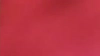 videoplayback (1).mp4