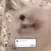 Tkuqa47.mp4