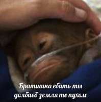 изображение.png