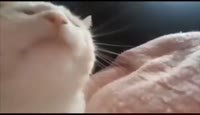 16055328988320.mp4