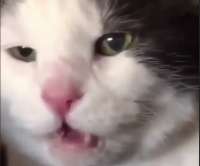 unknown.png