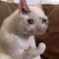 300px-CryingCatwithpawup.jpg