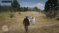 RDR220201127144154397.mp4