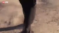1606382577211.mp4
