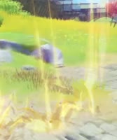 16058848348730.webm