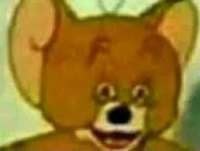images.jpeg