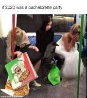 8oymxi4e74951.jpg
