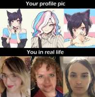 expectation vs reality trannies.jpg