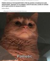 txeg1wkcvt261.jpg