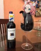 1606758952023.png
