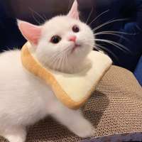 0BD555D9-5AA0-4919-ADA6-A055A6DE9F30.jpeg
