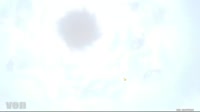 1231425355127.mp4