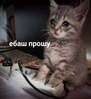 1569033237161.jpg