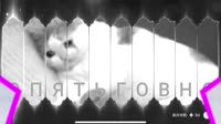 16041322558302.webm