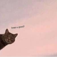 16076279867610.png
