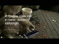 gpu.mp4