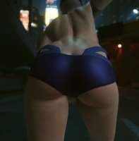 Cyberpunk 2077 Screenshot.png