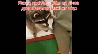 en.mp4