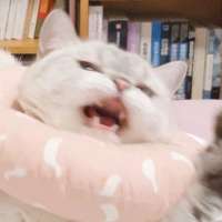 IjlergbP4w.jpg