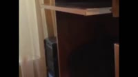 Блять.mp4