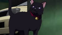 zavazivay.webm