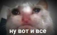 1608018568821.jpg